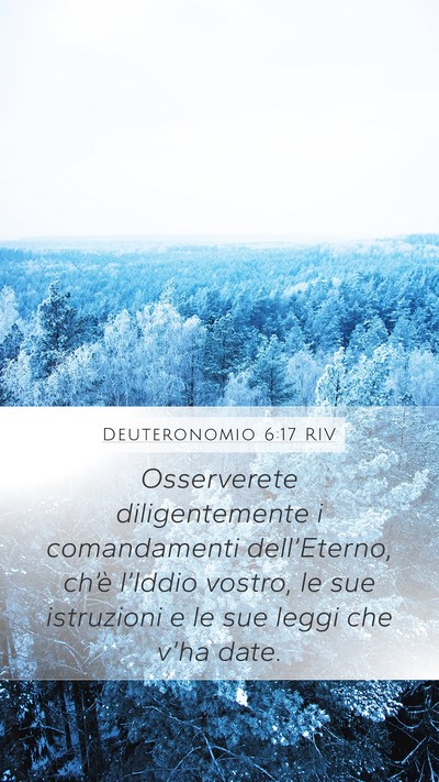 Deuteronomio 6:17 RIV Bible Verse Image