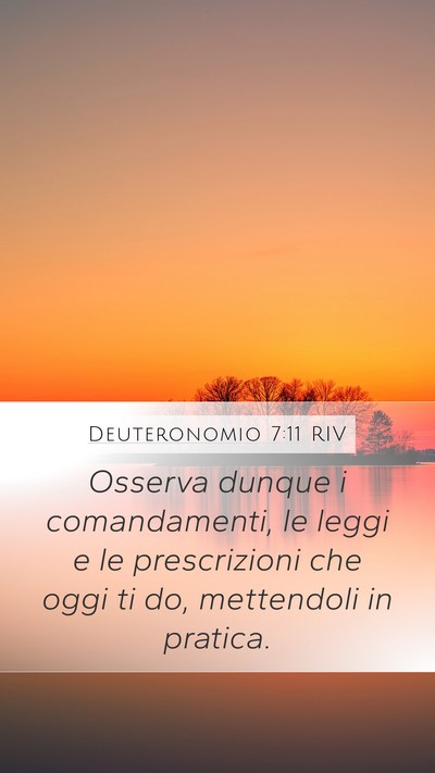Deuteronomio 7:11 RIV Bible Verse Image