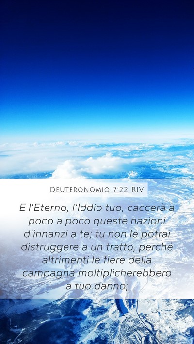 Deuteronomio 7:22 RIV Bible Verse Image