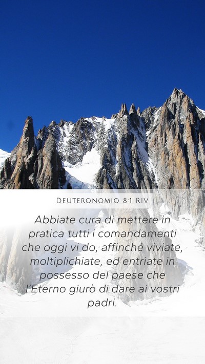 Deuteronomio 8:1 RIV Mobile Phone Wallpaper - Abbiate cura di mettere in pratica tutti i - Mobile Bible Verse Wallpaper