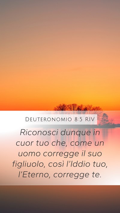 Deuteronomio 8:5 RIV Bible Verse Image
