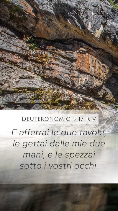 Deuteronomio 9:17 RIV Mobile Phone Wallpaper - E afferrai le due tavole, le gettai dalle mie due - Mobile Bible Verse Wallpaper