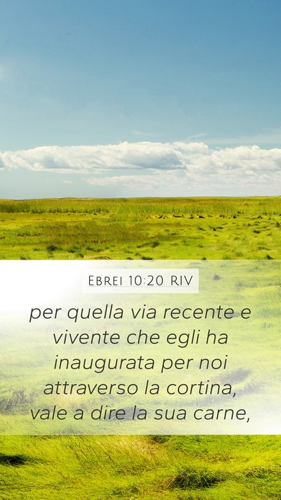 Ebrei 10:20 RIV Bible Verse Image