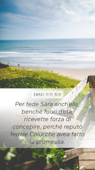 Ebrei 11:11 RIV Bible Verse Image