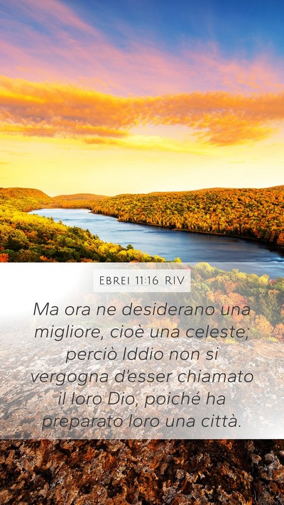 Ebrei 11:16 RIV Bible Verse Image