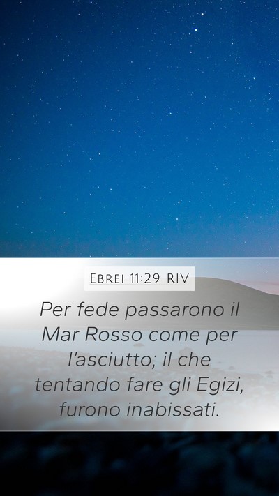 Ebrei 11:29 RIV Bible Verse Image