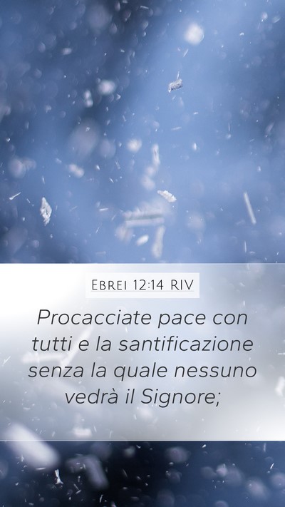 Ebrei 12:14 RIV Bible Verse Image