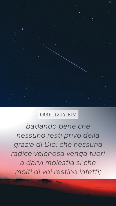 Ebrei 12:15 RIV Bible Verse Image