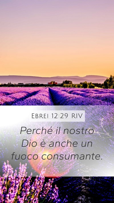Ebrei 12:29 RIV Mobile Phone Wallpaper - Perché il nostro Dio è anche un fuoco - Mobile Bible Verse Wallpaper