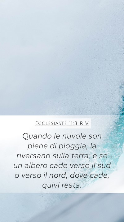 Ecclesiaste 11:3 RIV Bible Verse Image