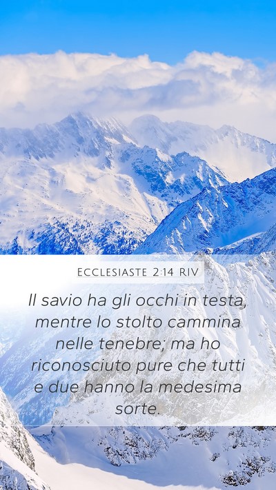 Ecclesiaste 2:14 RIV Mobile Phone Wallpaper - Il savio ha gli occhi in testa, mentre lo stolto - Mobile Bible Verse Wallpaper