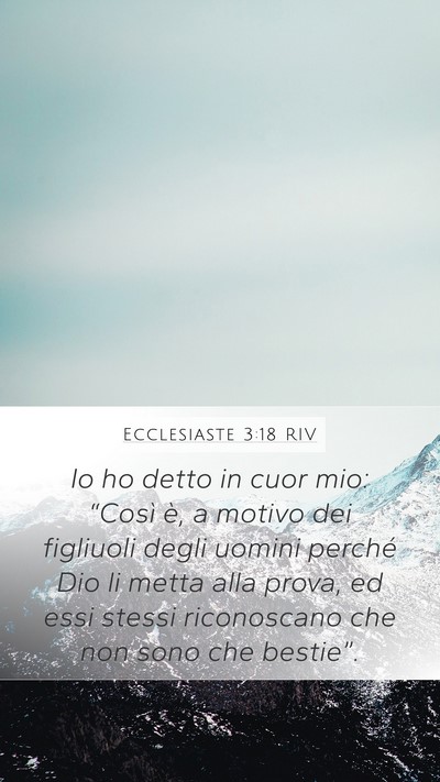 Ecclesiaste 3:18 RIV Mobile Phone Wallpaper - Io ho detto in cuor mio: “Così è, a motivo - Mobile Bible Verse Wallpaper