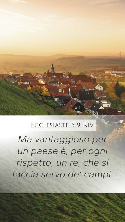 Ecclesiaste 5:9 RIV Mobile Phone Wallpaper - Ma vantaggioso per un paese è, per ogni - Mobile Bible Verse Wallpaper