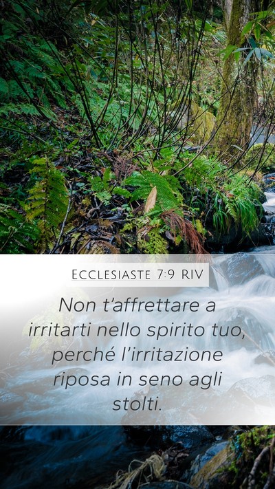 Ecclesiaste 7:9 RIV Bible Verse Image