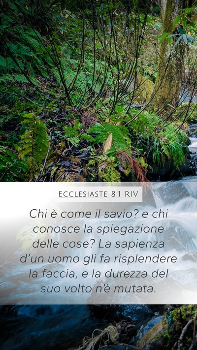 Ecclesiaste 8:1 RIV Mobile Phone Wallpaper - Chi è come il savio? e chi conosce la - Mobile Bible Verse Wallpaper