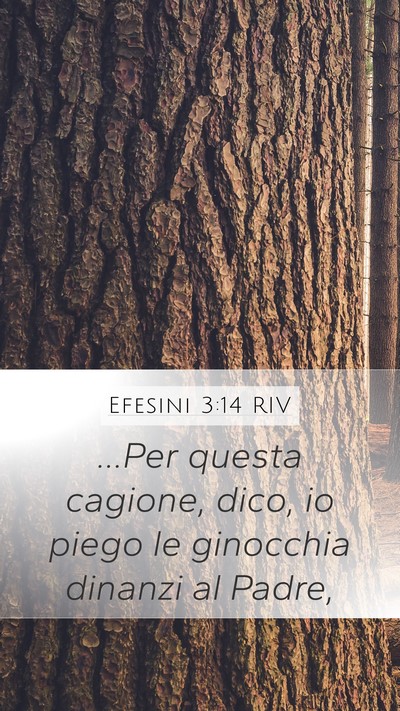 Efesini 3:14 RIV Bible Verse Image