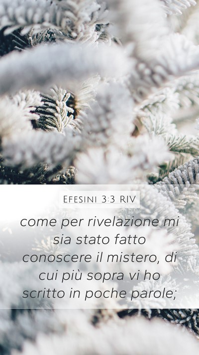 Efesini 3:3 RIV Bible Verse Image