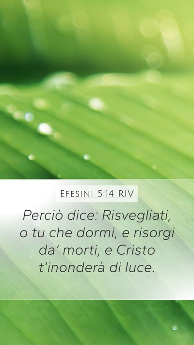 Efesini 5:14 RIV Bible Verse Image