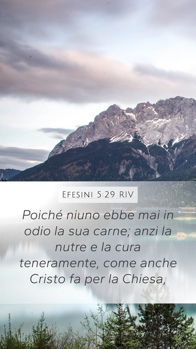 Efesini 5:29 RIV Mobile Phone Wallpaper - Poiché niuno ebbe mai in odio la sua carne; anzi - Mobile Bible Verse Wallpaper