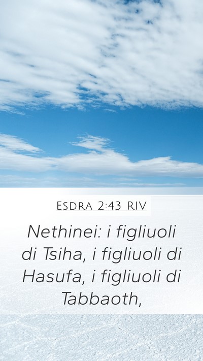 Esdra 2:43 RIV Mobile Phone Wallpaper - Nethinei: i figliuoli di Tsiha, i figliuoli di - Mobile Bible Verse Wallpaper