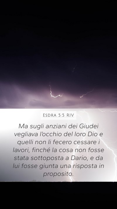 Esdra 5:5 RIV Bible Verse Image
