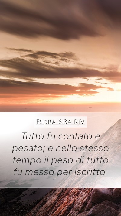 Esdra 8:34 RIV Mobile Phone Wallpaper - Tutto fu contato e pesato; e nello stesso tempo - Mobile Bible Verse Wallpaper