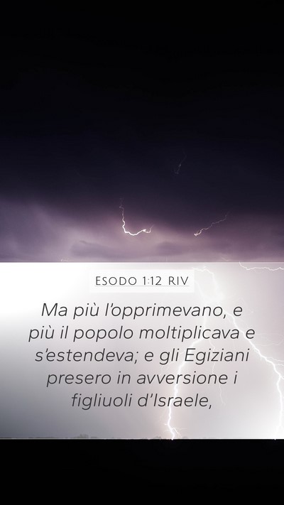 Esodo 1:12 RIV Bible Verse Image