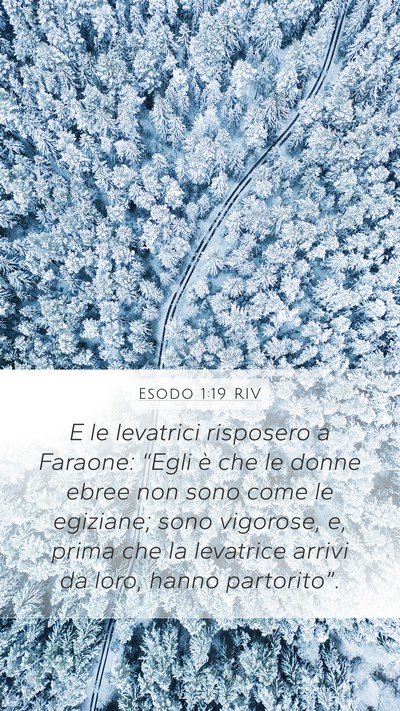 Esodo 1:19 RIV Bible Verse Image