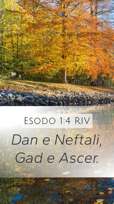 Esodo 1:4 RIV Mobile Phone Wallpaper - Dan e Neftali, Gad e - Mobile Bible Verse Wallpaper