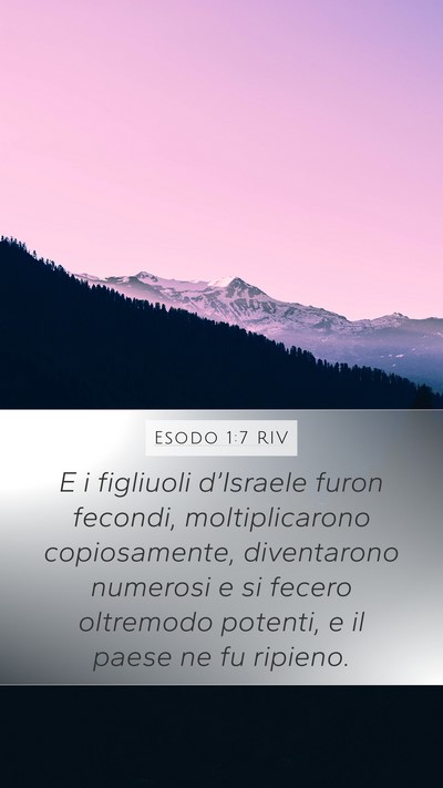 Esodo 1:7 RIV Mobile Phone Wallpaper - E i figliuoli d’Israele furon fecondi, - Mobile Bible Verse Wallpaper