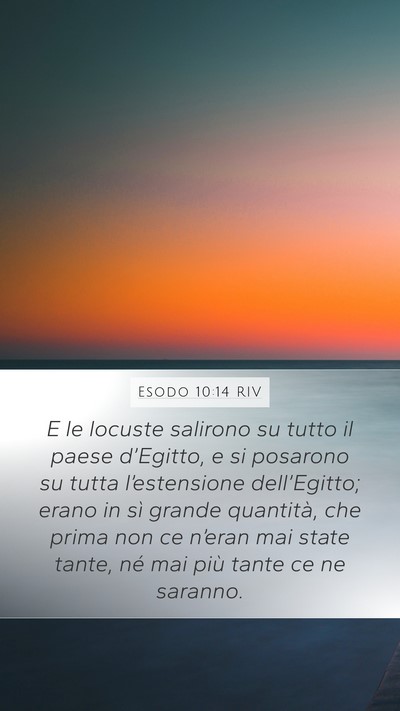 Esodo 10:14 RIV Bible Verse Image