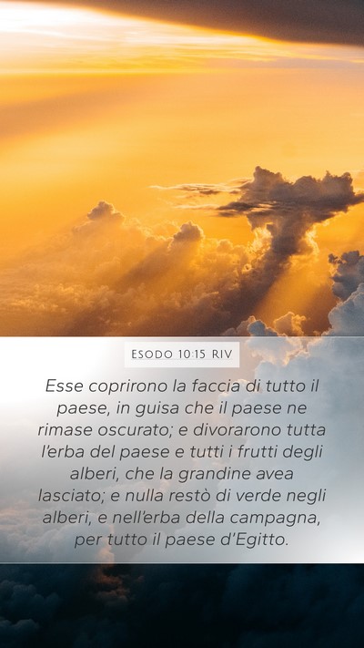 Esodo 10:15 RIV Bible Verse Image