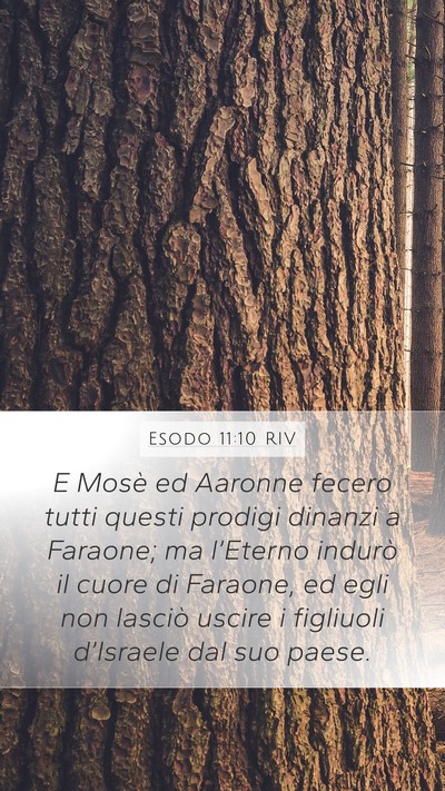 Esodo 11:10 RIV Bible Verse Image