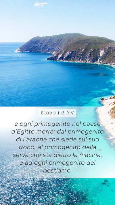 Esodo 11:5 RIV Bible Verse Image