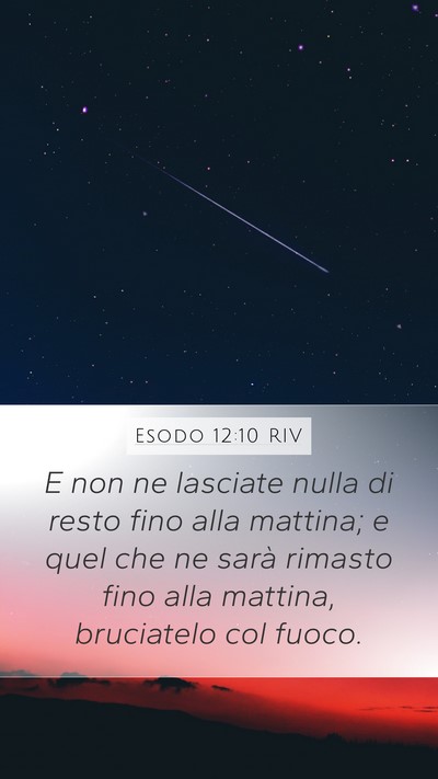 Esodo 12:10 RIV Bible Verse Image