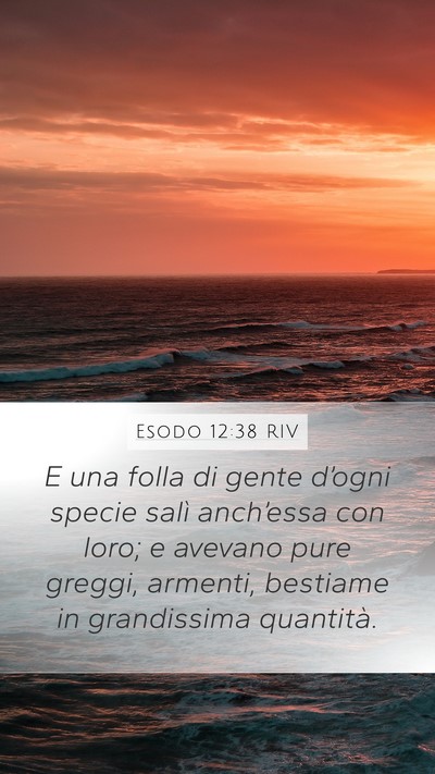 Esodo 12:38 RIV Bible Verse Image
