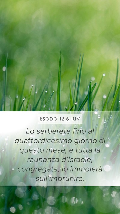 Esodo 12:6 RIV Bible Verse Image