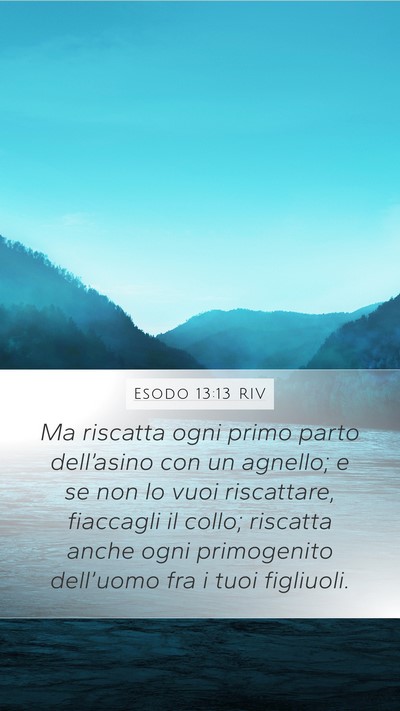 Esodo 13:13 RIV Mobile Phone Wallpaper - Ma riscatta ogni primo parto dell’asino con un - Mobile Bible Verse Wallpaper