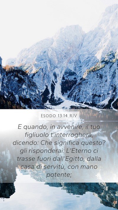 Esodo 13:14 RIV Bible Verse Image