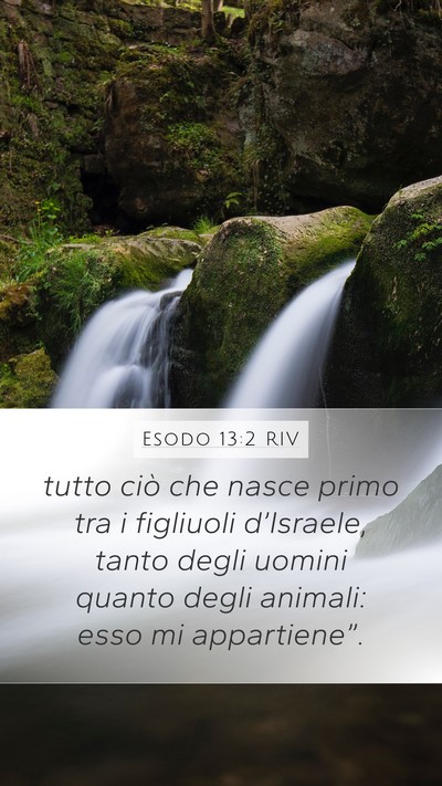 Esodo 13:2 RIV Bible Verse Image