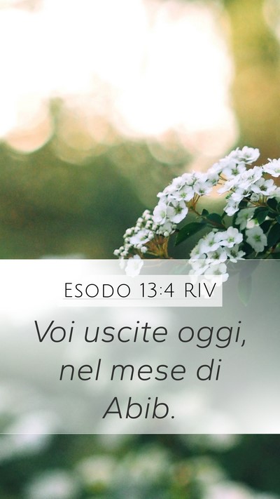 Esodo 13:4 RIV Bible Verse Image