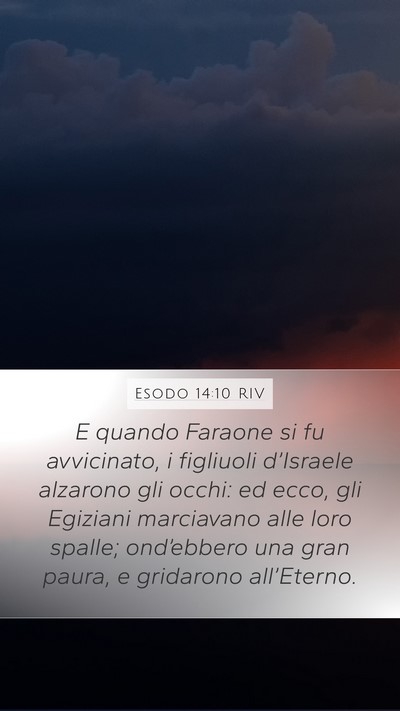 Esodo 14:10 RIV Bible Verse Image