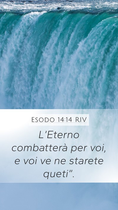 Esodo 14:14 RIV Bible Verse Image