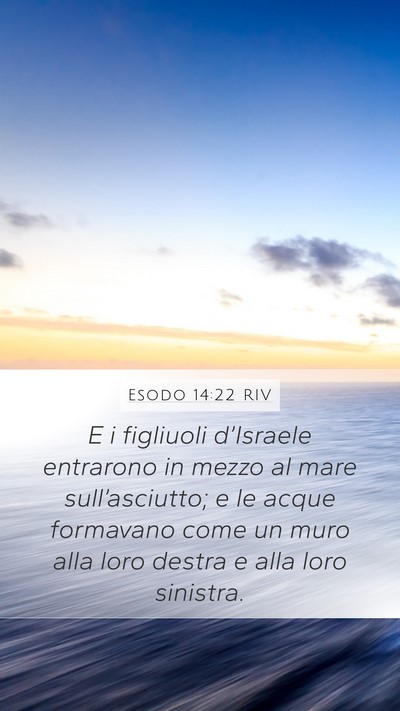 Esodo 14:22 RIV Bible Verse Image