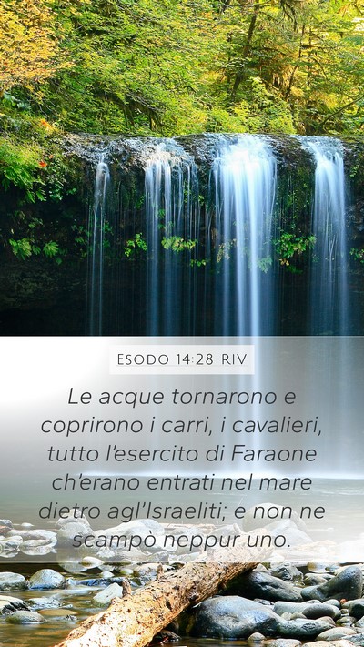 Esodo 14:28 RIV Bible Verse Image