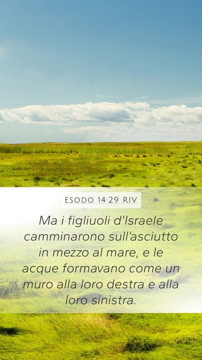 Esodo 14:29 RIV Bible Verse Image