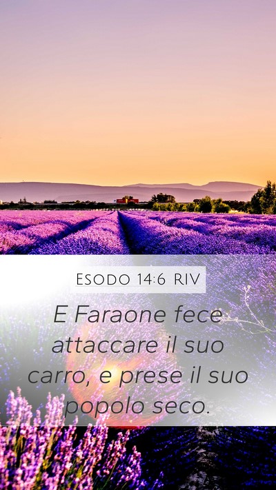 Esodo 14:6 RIV Bible Verse Image