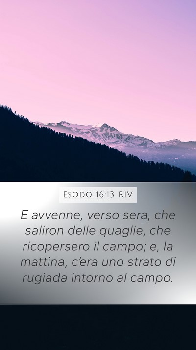 Esodo 16:13 RIV Bible Verse Image