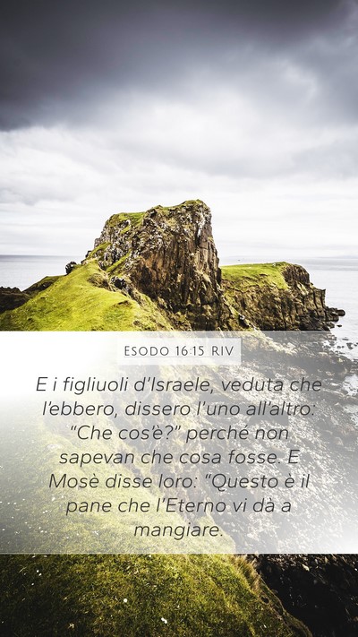 Esodo 16:15 RIV Bible Verse Image