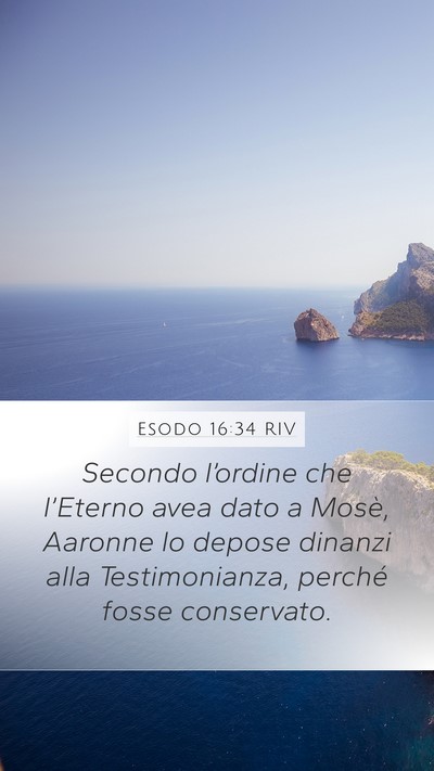 Esodo 16:34 RIV Bible Verse Image